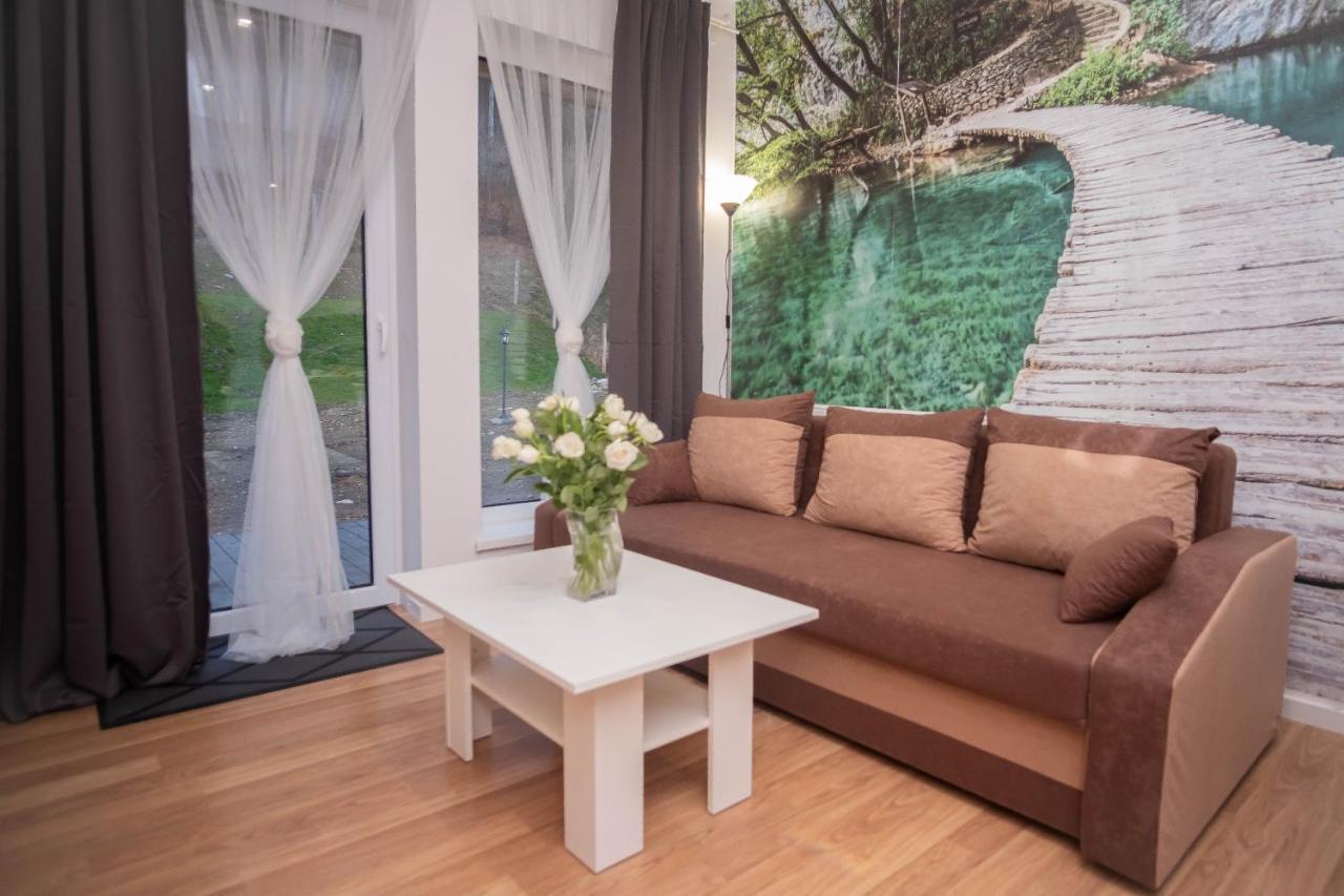 Apartamenty Goszowita Строне-Шльонське Екстер'єр фото