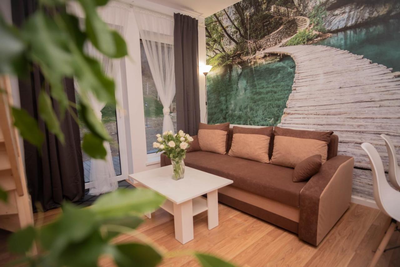 Apartamenty Goszowita Строне-Шльонське Екстер'єр фото